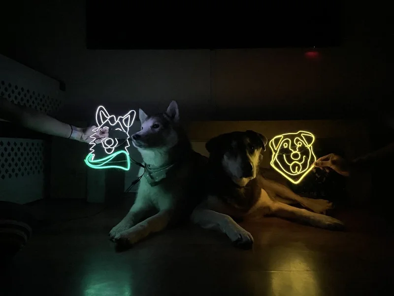 🐶 Doggo Glow – Private Microneon Class for 2